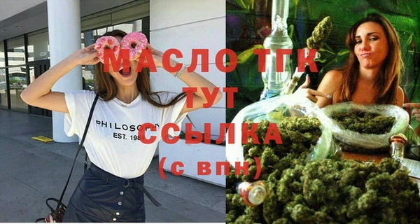 гашик Михайлов