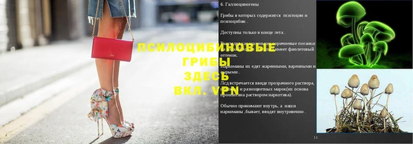 индика Володарск