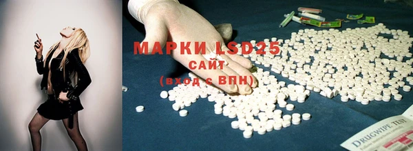 шишки Михайловка