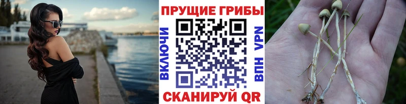 Галлюциногенные грибы MAGIC MUSHROOMS магазин наркотиков mega ONION Лакинск